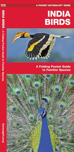 India Birds: A Folding Pocket Guide to Familiar Species (Pocket Naturalist Guide)