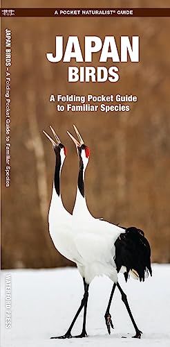 Japan Birds: A Folding Pocket Guide to Familiar Species (Pocket Naturalist Guide)