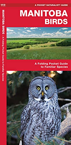 Manitoba Birds: A Folding Pocket Guide to Familiar Species (Pocket Naturalist Guide)