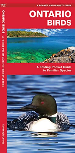 Ontario Birds: A Folding Pocket Guide to Familiar Species (Pocket Naturalist)