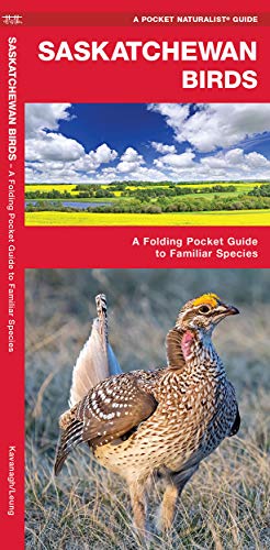Saskatchewan Birds: A Folding Pocket Guide to Familiar Species (Wildlife and Nature Identification)