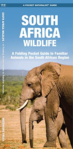South Africa Wildlife: A Folding Pocket Guide to Familiar Animals in the South African Region (Pocket Naturalist Guide)