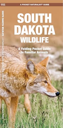 South Dakota Wildlife: A Folding Pocket Guide to Familiar Species (Pocket Naturalist Guides)