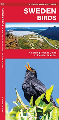 Sweden Birds: A Folding Pocket Guide to Familiar Species (Pocket Naturalist)