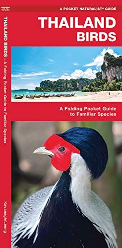 Thailand Birds: A Folding Pocket Guide to Familiar Species (Pocket Naturalist Guide)