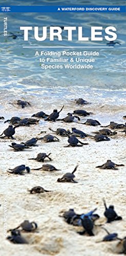 Turtles: A Folding Pocket Guide to Familiar & Unique Species Worldwide (Waterford Discovery Guides)