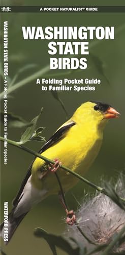 Washington Birds: A Folding Pocket Guide to Familiar Species (Wildlife and Nature Identification)