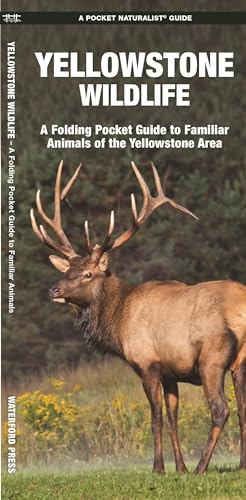 Yellowstone Wildlife: A Folding Pocket Guide to Familiar Animals of the Yellowstone Area (Pocket Naturalist Guide)
