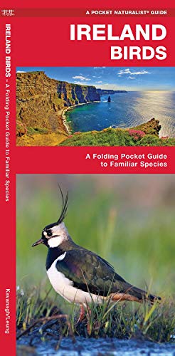 Ireland Birds: A Folding Pocket Guide to Familiar Species (A Pocket Naturalist Guide)