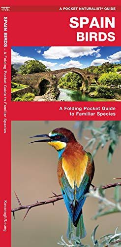 Spain Birds: A Folding Pocket Guide to Familiar Species (A Pocket Naturalist Guide)