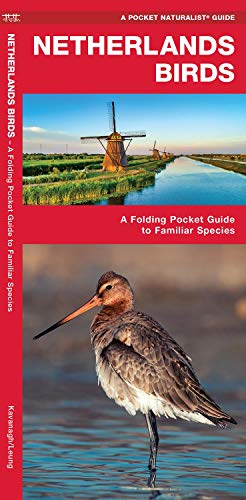 Netherlands Birds: A Folding Pocket Guide to Familiar Species (A Pocket Naturalist Guide)