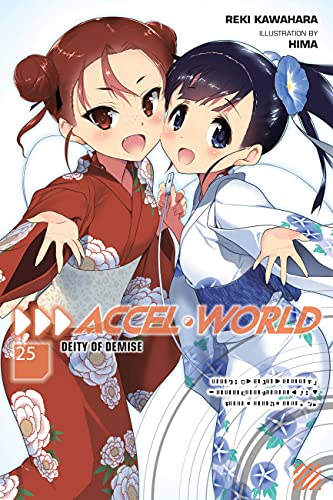 Accel World, Vol. 25 (light novel): Deity of Demise (ACCEL WORLD LIGHT NOVEL SC)