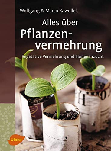 Alles über Pflanzenvermehrung: Vegetative Vermehrung und Samenanzucht