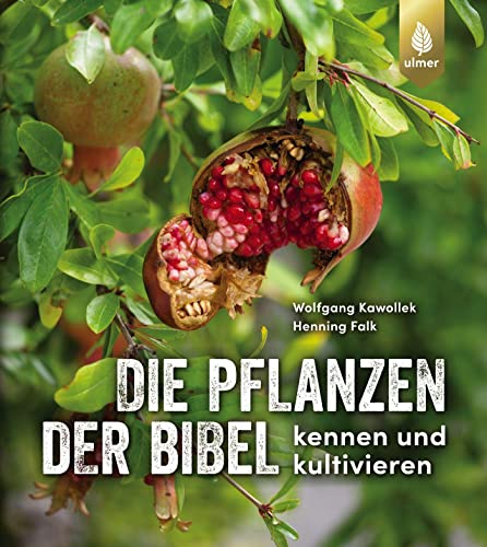 Die Pflanzen der Bibel: kennen und kultivieren von Ulmer Eugen Verlag