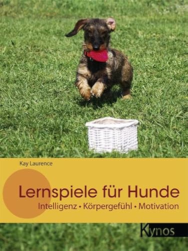 Lernspiele für Hunde: Intelligenz - Körpergefühl - Motivation