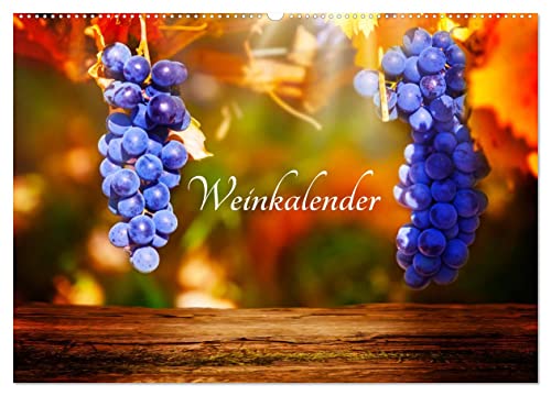 Weinkalender (Wandkalender 2024 DIN A2 quer), CALVENDO Monatskalender