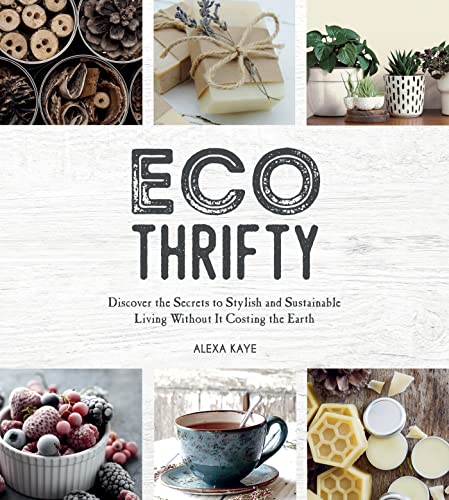 Eco-Thrifty: Secrets to Budget-Friendly, Sustainable Living