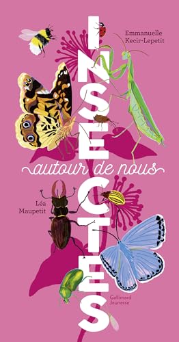 Insectes autour de nous von GALLIMARD JEUNE