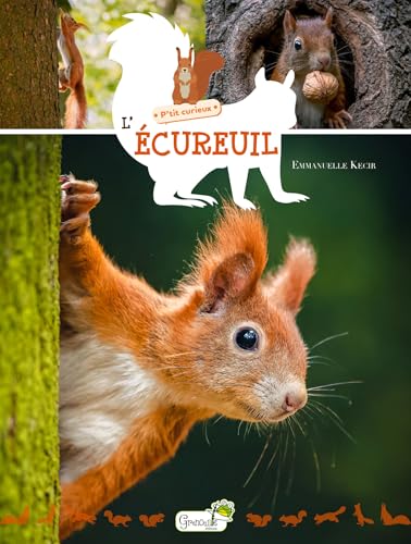 L'écureuil L'écureuil von GRENOUILLE