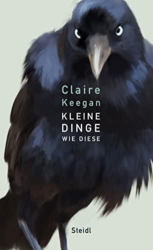 Kleine Dinge wie diese von Steidl