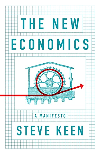 The New Economics: A Manifesto von Polity Press