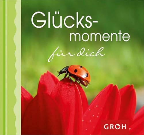 Glücksmomente für dich (Kleine Momente) von Groh
