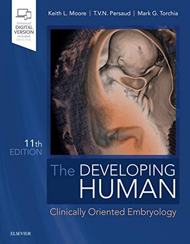 The Developing Human: Clinically Oriented Embryology von Saunders