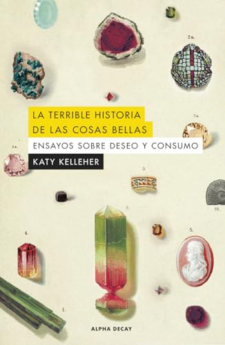 LA TERRIBLE HISTORIA DE LAS COSAS BELLAS: Ensayos sobre deseo y consumo (Alpha Decay, Band 166) von ALPHA DECAY