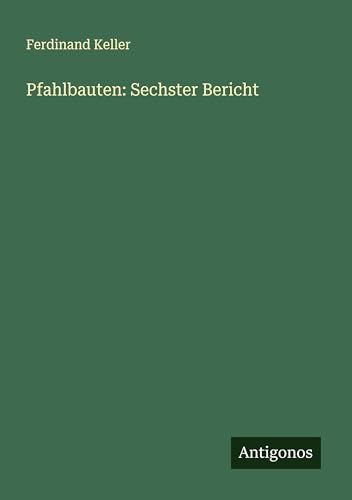 Pfahlbauten: Sechster Bericht von Antigonos Verlag