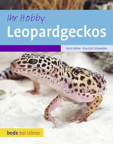 Leopardgeckos