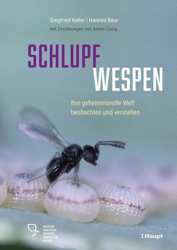 Schlupfwespen: Ihre geheimnisvolle Welt beobachten und verstehen Schlupfwespen: Ihre geheimnisvolle Welt beobachten und verstehen von Haupt Verlag AG