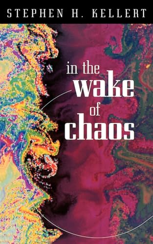 In the Wake of Chaos: Unpredictable Order in Dynamical Systems (Science and Its Conceptual Foundations series)