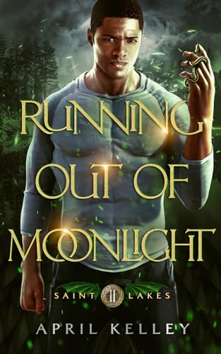 Running Out of Moonlight (Saint Lakes #2): An M/M Dragon Shifter Romance von Independently Published