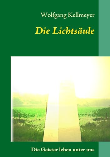 Die Lichtsäule: Geister leben unter uns!! von Books on Demand GmbH
