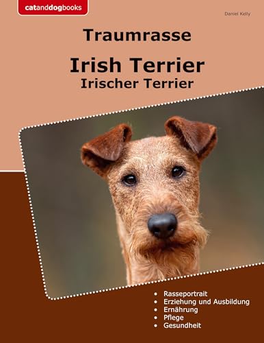 Traumrasse Irish Terrier: Irischer Terrier