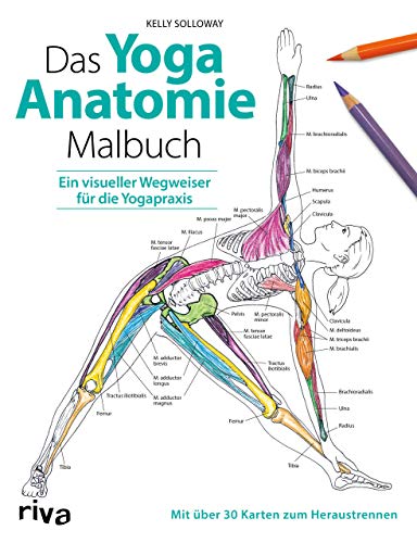 Das Yoga-Anatomie-Malbuch: Ein visueller Wegweiser für die Yogapraxis. Mit über 30 Karten zum Heraustrennen von RIVA