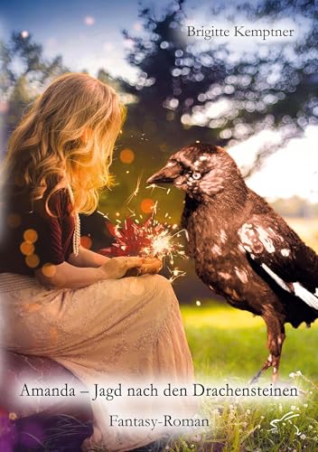 Amanda – Jagd nach den Drachensteinen: Fantasy-Roman (Amanda: Fantasy-Reihe) von Edition Paashaas Verlag EPV