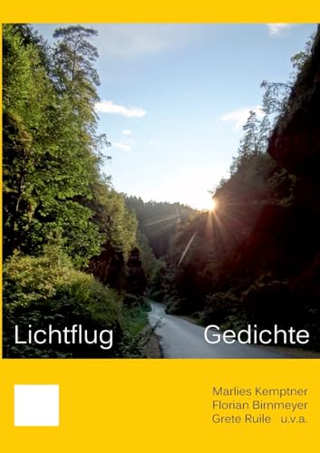 Lichtflug: Gedichte von Books on Demand