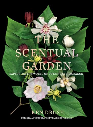 The Scentual Garden: Exploring the World of Botanical Fragrance