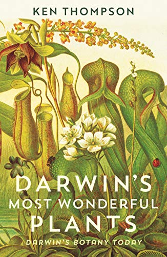 Darwin's Most Wonderful Plants: Darwin's Botany Today von Profile Books
