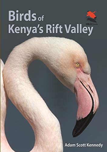 Birds of Kenya's Rift Valley (Wildlife Explorer Guides)