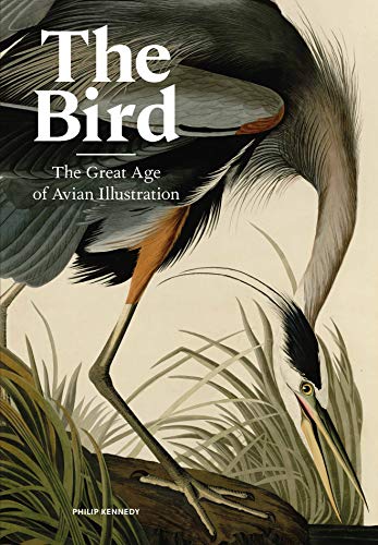 The Bird: The Great Age of Avian Illustration von Laurence King