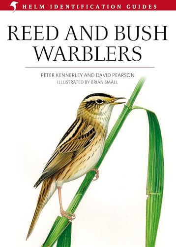 Reed and Bush Warblers (Helm Identification Guides) von Helm