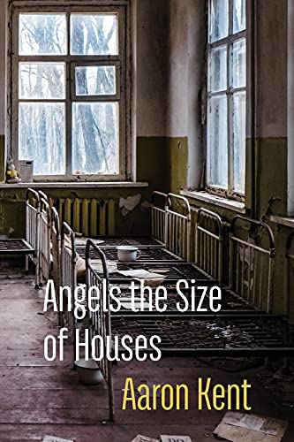 Angels the Size of Houses von Shearsman Books