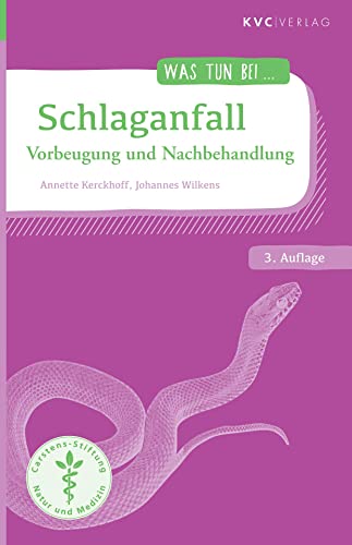 Schlaganfall: Vorbeugung und Nachbehandlung (Was tun bei)