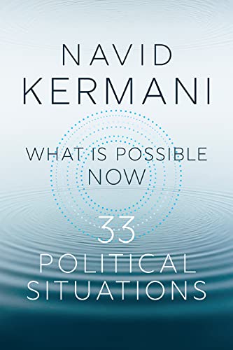 What is Possible Now: 33 Political Situations What is Possible Now: 33 Political Situations