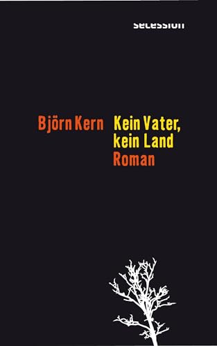 Kein Vater, kein Land: Roman