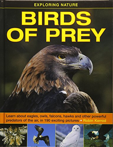 Exploring Nature: Birds of Prey: Learn About Eagles, Owls, Falcons, Hawks and Other Powerful Predators of the Air von Armadillo Music