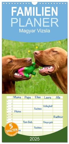 Familienplaner 2025 - Magyar Vizsla mit 5 Spalten (Wandkalender, 21 cm x 45 cm), CALVENDO von CALVENDO
