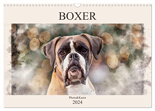 Boxer Photo&Kunst (Wandkalender 2024 DIN A3 quer), CALVENDO Monatskalender von CALVENDO